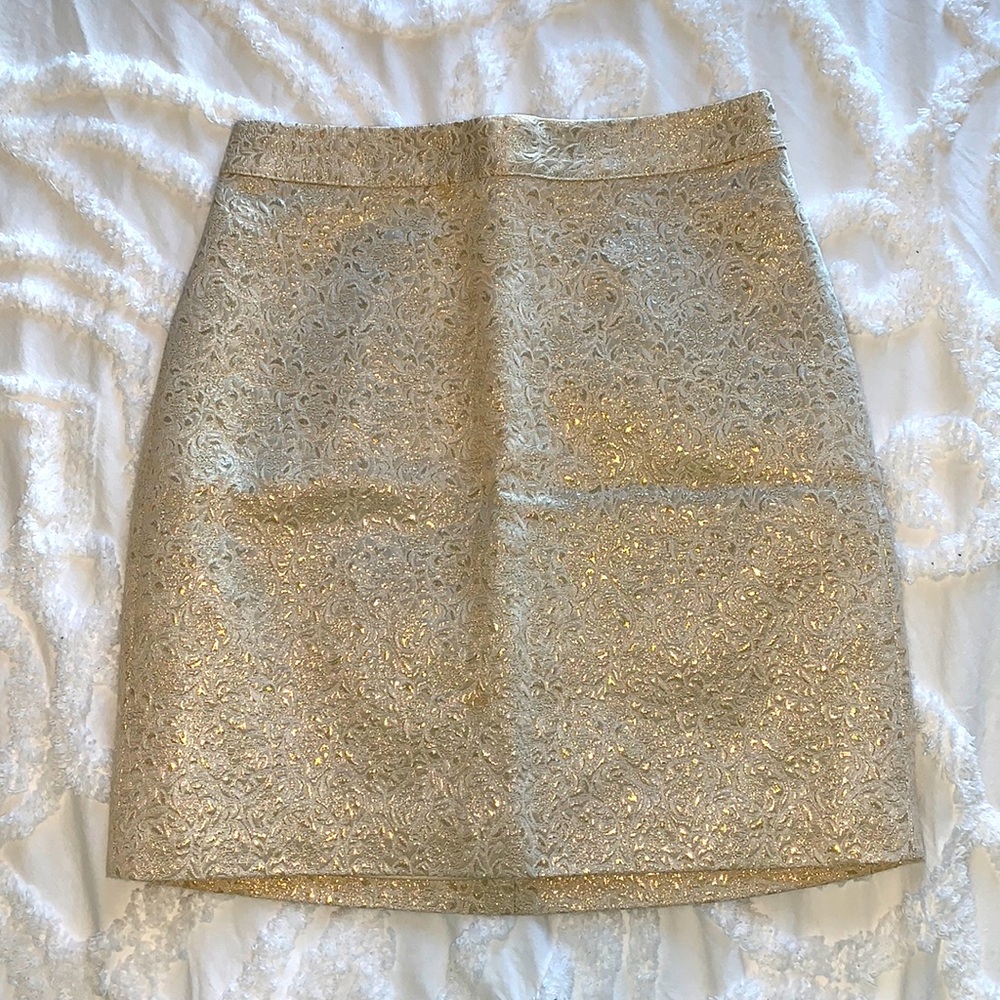 Beautiful Patterned Pencil Skirt with Gold Inlay